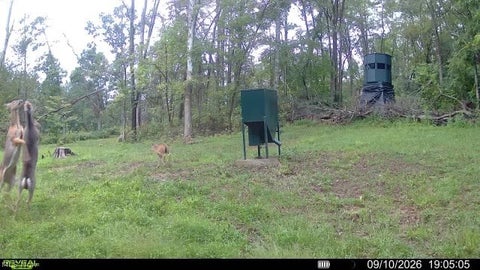 Tiny photo for Spence Hill Rd, Caldwell, OH 43724 (MLS # 5241444)