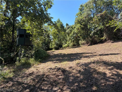 Tiny photo for Spence Hill Rd, Caldwell, OH 43724 (MLS # 5241444)