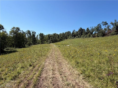 Tiny photo for Spence Hill Rd, Caldwell, OH 43724 (MLS # 5241444)