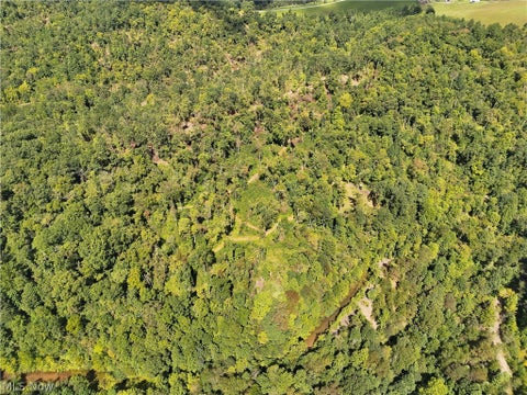 Tiny photo for Spence Hill Rd, Caldwell, OH 43724 (MLS # 5241444)