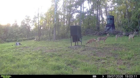 Tiny photo for Spence Hill Rd, Caldwell, OH 43724 (MLS # 5241444)