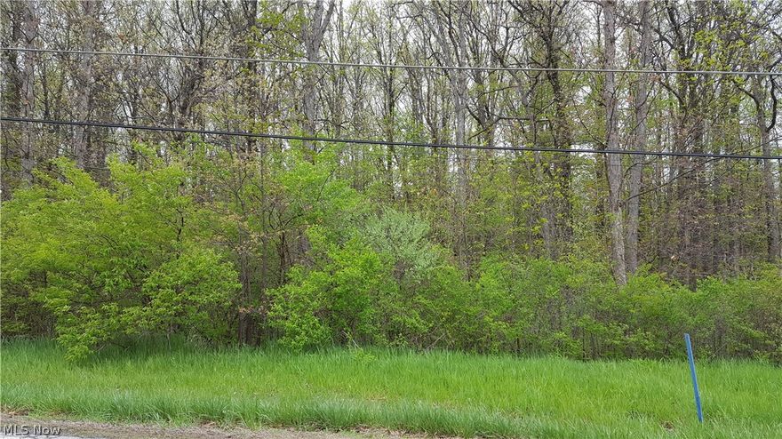 Beautiful Wooded Homesites!  Over 3 acres with possible walkout potential!  Gas, Electric, City Water!  Build with Knez Homes, choose your own builder or buy for your future dream home!