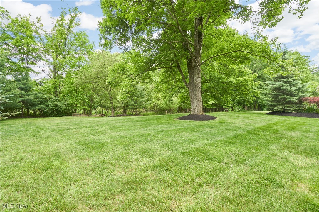 Bath, Ohio 44333, United States, 5 Bedrooms Bedrooms, ,6 BathroomsBathrooms,Residential,Contingent,146886