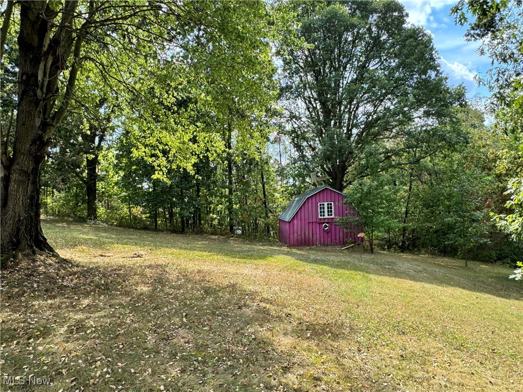 70571 Pine Hollow Road, Bridgeport, Ohio image 46