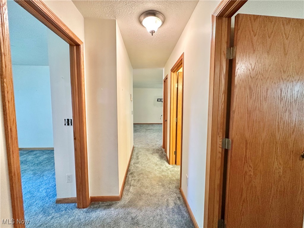 224 Natale Drive, Cortland, Ohio image 13