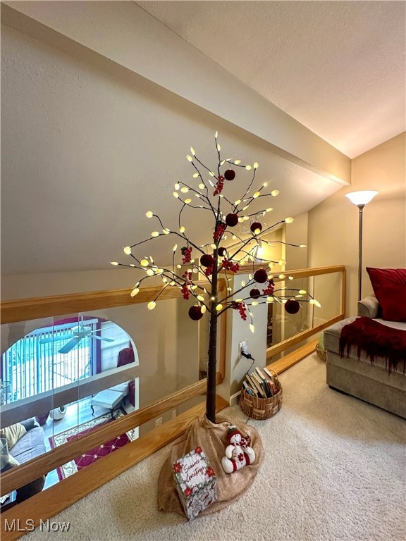 Spring Run Condo - Residential