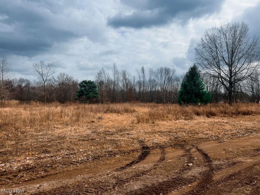 If you have been looking for a large plot of land to hunt, ride on and never sell again this piece has all the boxes checked to be a family getaway for years to come! Pull in the driveway and drive back into an open area that would be a perfect building spot for your dream cabin then follow the trails throughout the property and see the ponds scattered about as well as a food plot and 2 blinds that were setup by Terry Peer to give you the greatest chance of harvesting the big buck you always dreamed of. Frontage on 2 different roads giving you great access is a big plus as well as bordering big crop fields this piece is a hunters dream! Also if you are looking to build and have a hunters paradise in the backyard it has a beautiful building site. Buy this piece and finish setting it up your way, call today for a showing!