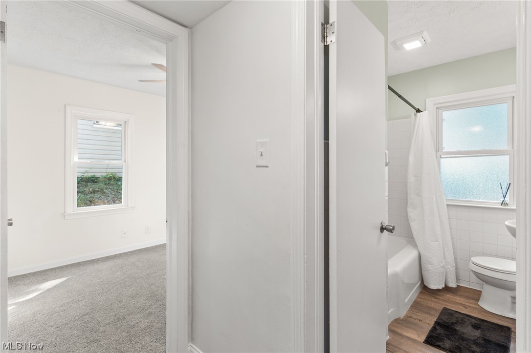 Brewster Arlington - Residential