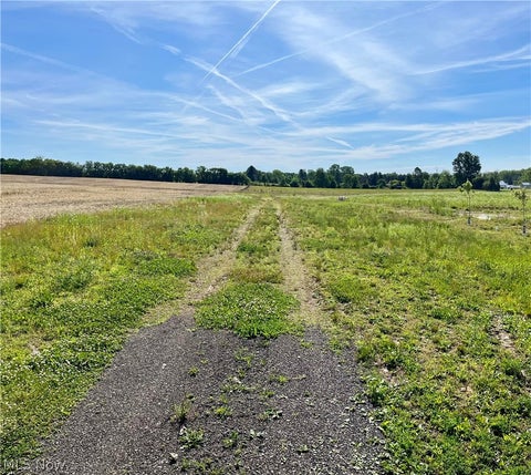 Vacant Land For Sale - 5497 Carsten Road<br/> Medina, OH 44256