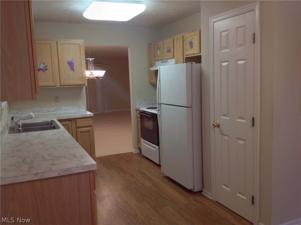 Pebble Creek Preserve Cluster Homes - Residential