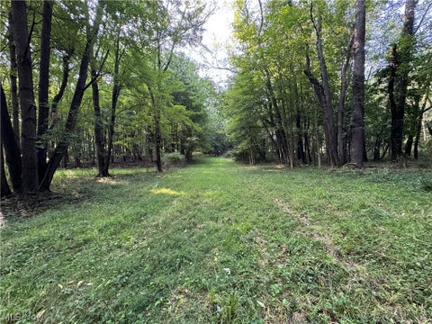 Tiny photo for Antone Avenue, Tallmadge, OH 44278 (MLS # 5238946)