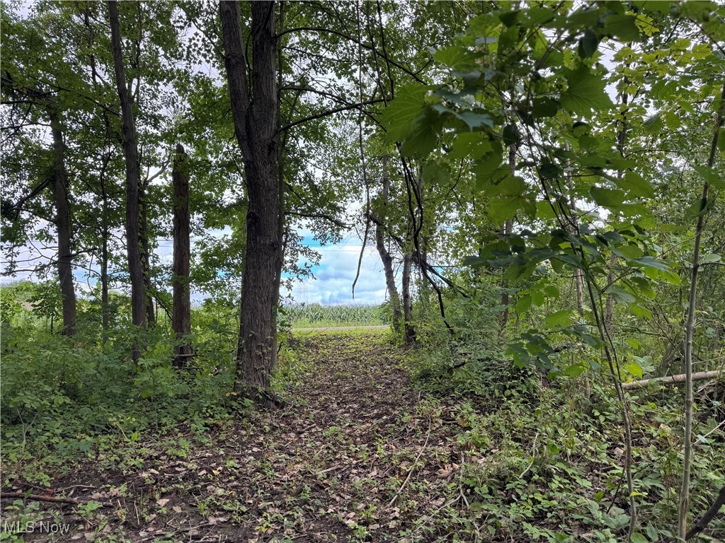 Conneaut, Ohio 44030, United States, ,Land,Contingent,201583