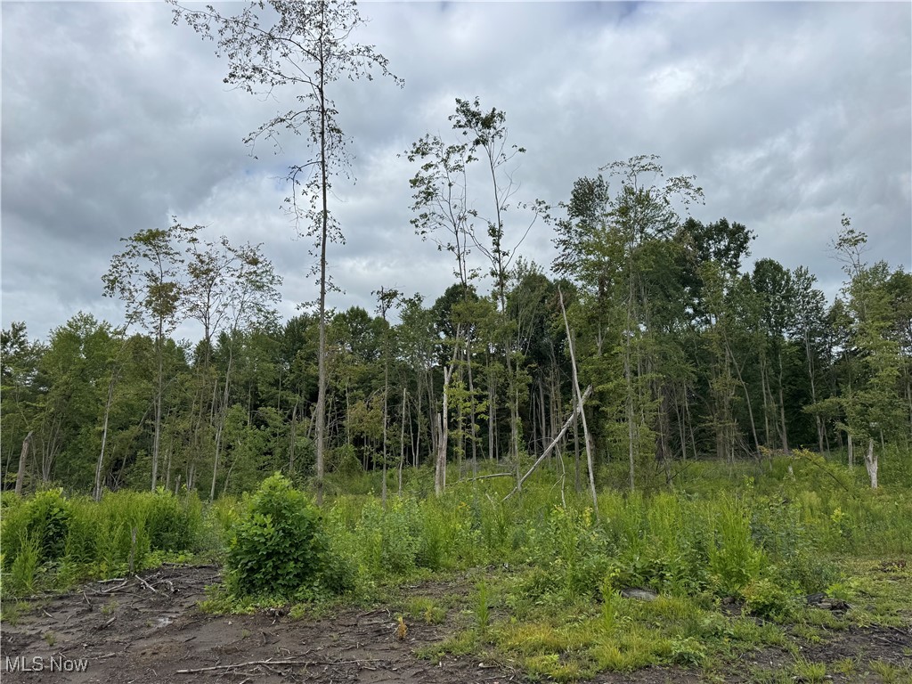 Conneaut, Ohio 44030, United States, ,Land,Contingent,201583