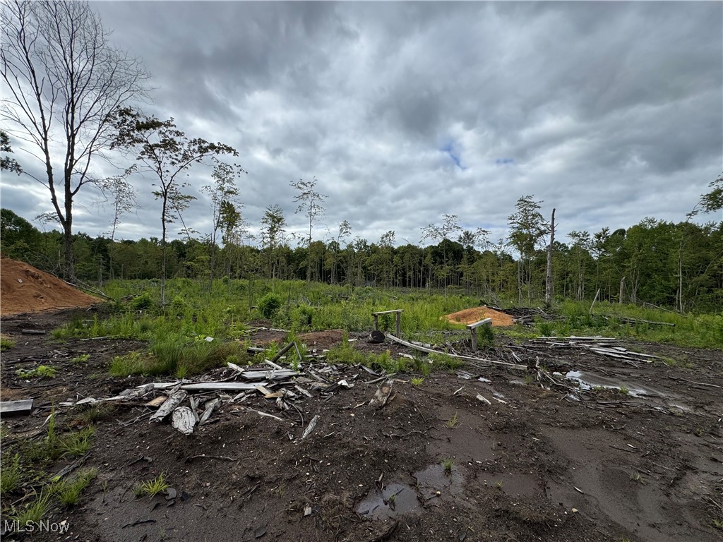 Conneaut, Ohio 44030, United States, ,Land,Contingent,201583