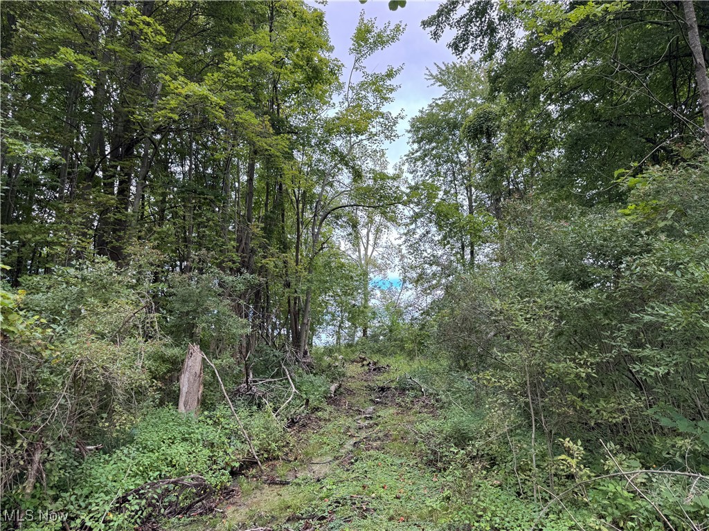 Conneaut, Ohio 44030, United States, ,Land,Contingent,201583