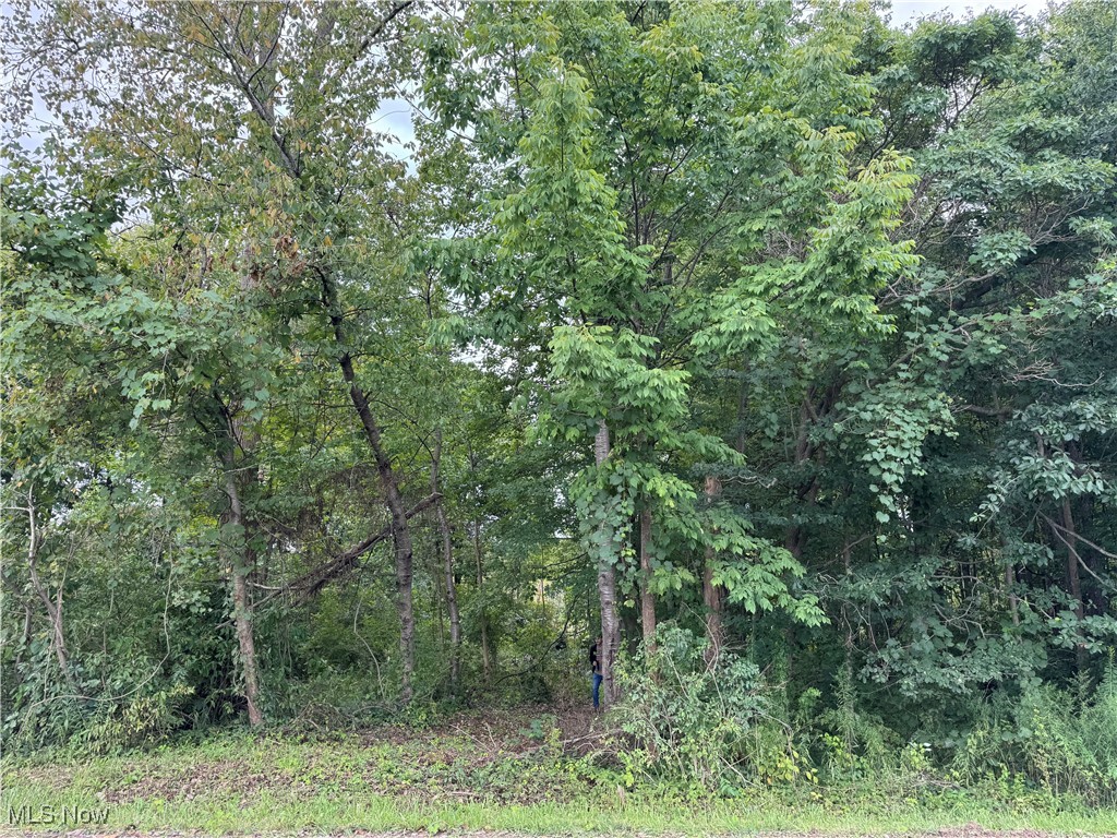 Conneaut, Ohio 44030, United States, ,Land,Contingent,201583