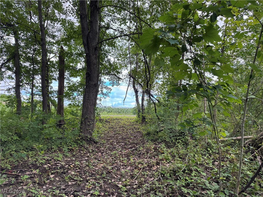 Conneaut, Ohio 44030, United States, ,Land,Contingent,201583