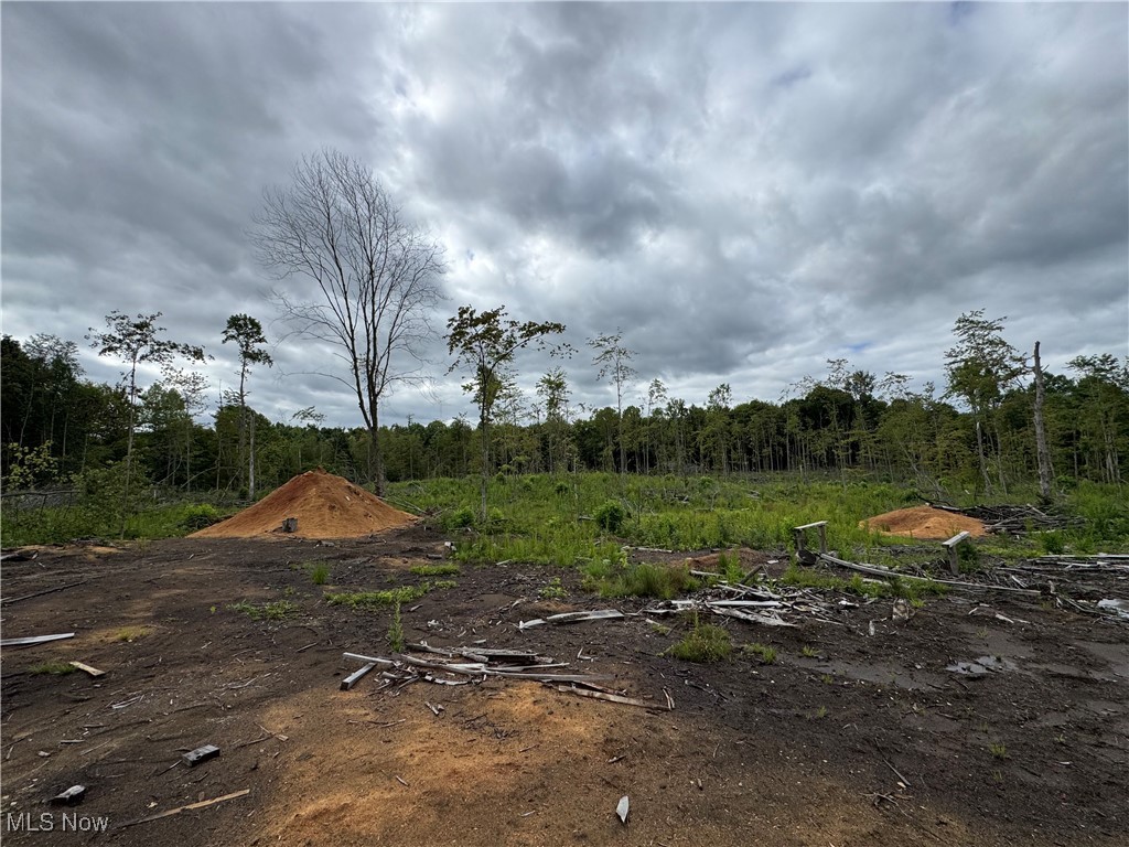 Conneaut, Ohio 44030, United States, ,Land,Contingent,201583