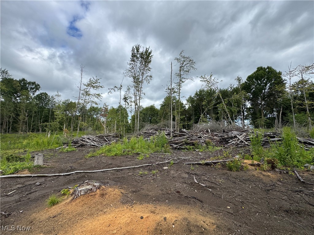 Conneaut, Ohio 44030, United States, ,Land,Contingent,201583