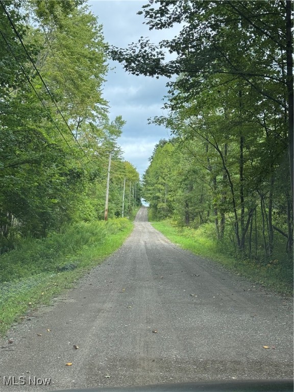 Conneaut, Ohio 44030, United States, ,Land,Contingent,201583