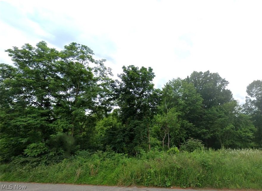 This buildable 1.85 acre lot is partially wooded and is located on a dead end street. It is in the Massillon City School District. Lot is level. Public water and public sewer. Includes parcels 604012-604014, 617527-617537. Directions: Erie St. to east on Forest Ave. SE.