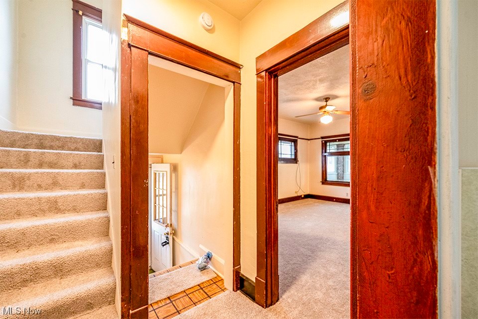 2320 Roy Street, Youngstown, Ohio image 11