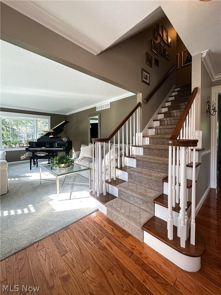 100 Onyx Place