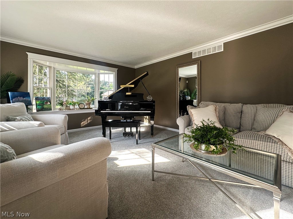 100 Onyx Place