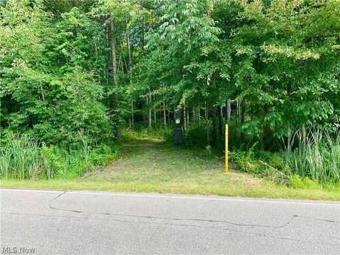 Tiny photo for Footville Richmond Road, Jefferson, OH 44047 (MLS # 5204058)