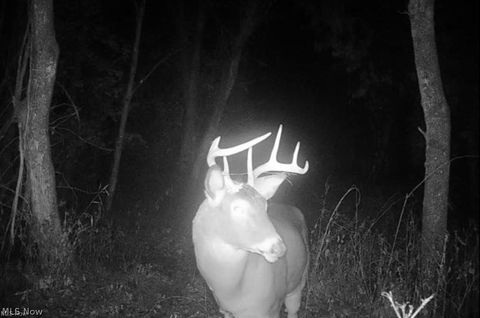 Tiny photo for Footville Richmond Road, Jefferson, OH 44047 (MLS # 5204058)