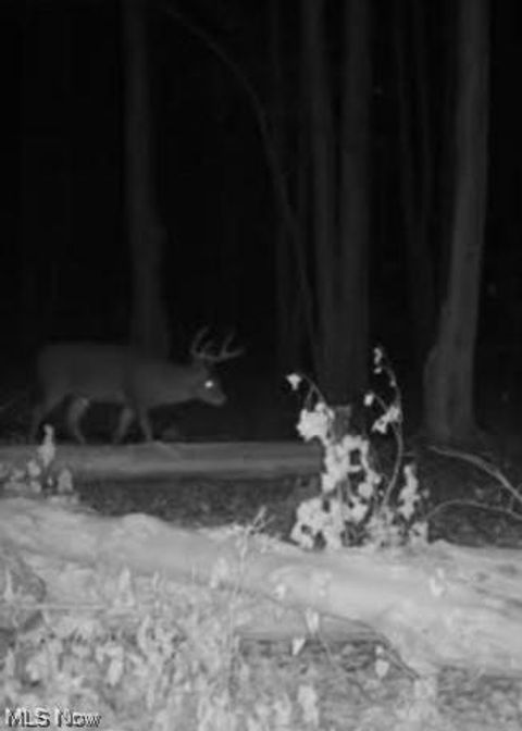 Tiny photo for Footville Richmond Road, Jefferson, OH 44047 (MLS # 5204058)