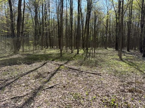 Tiny photo for Footville Richmond Road, Jefferson, OH 44047 (MLS # 5204058)