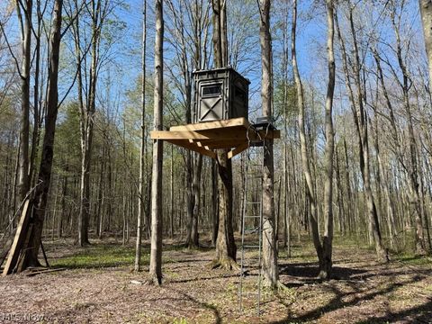 Tiny photo for Footville Richmond Road, Jefferson, OH 44047 (MLS # 5204058)