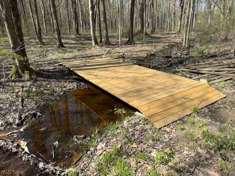 Tiny photo for Footville Richmond Road, Jefferson, OH 44047 (MLS # 5204058)