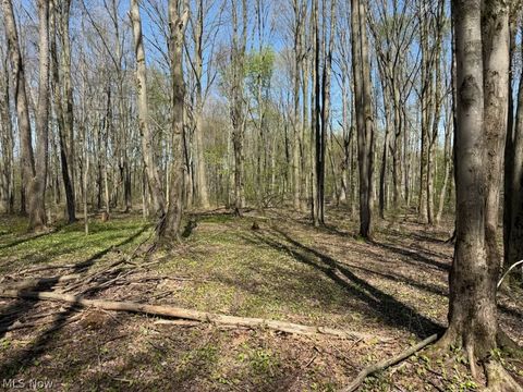 Photo of Footville Richmond Road, Jefferson, OH 44047 (MLS # 5204058)