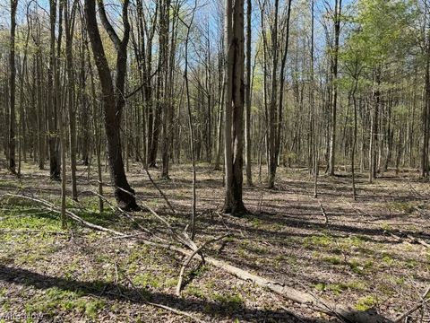 Tiny photo for Footville Richmond Road, Jefferson, OH 44047 (MLS # 5204058)