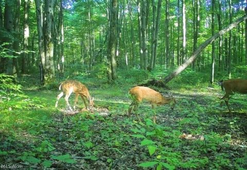 Tiny photo for Footville Richmond Road, Jefferson, OH 44047 (MLS # 5204058)
