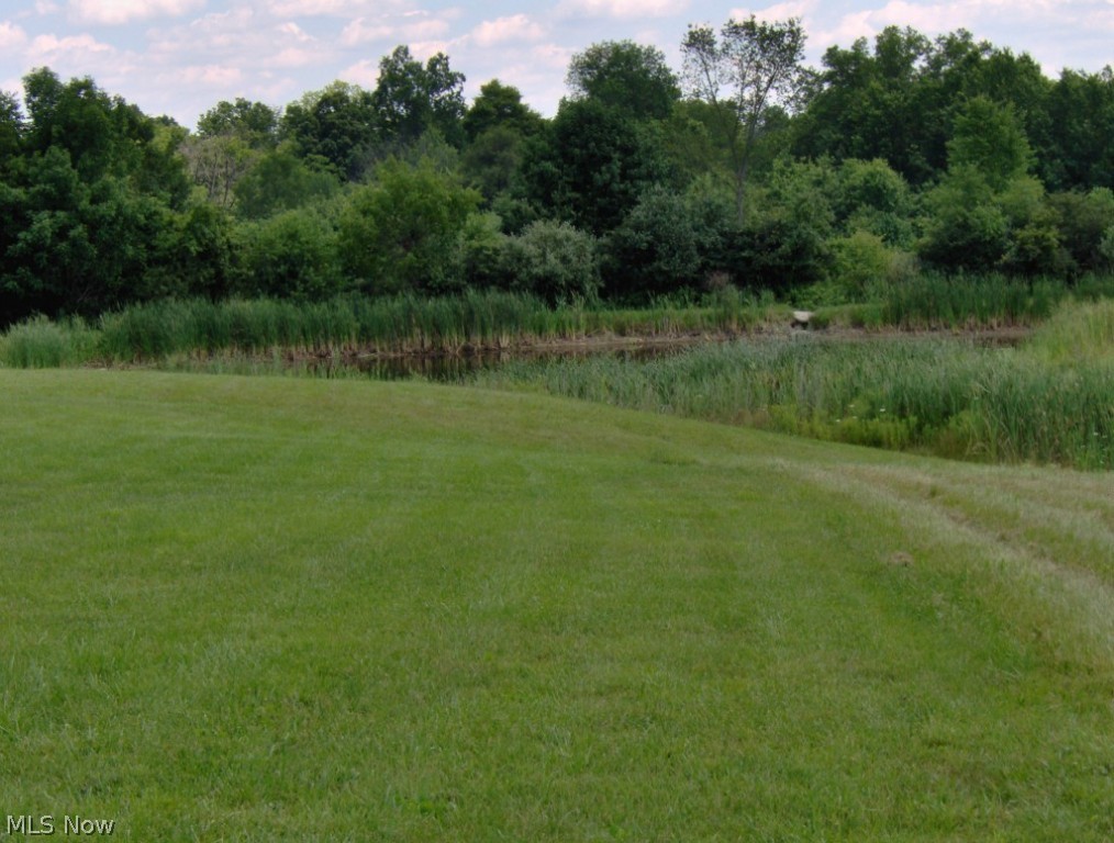 Palmyra - Residential