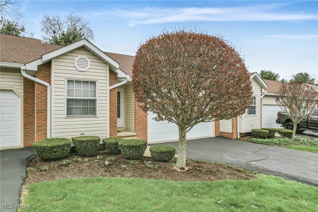 118 Woodland Trace Trce, Cortland, Ohio image 41
