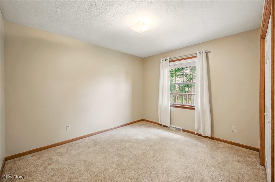 118 Woodland Trace Trce, Cortland, Ohio image 19