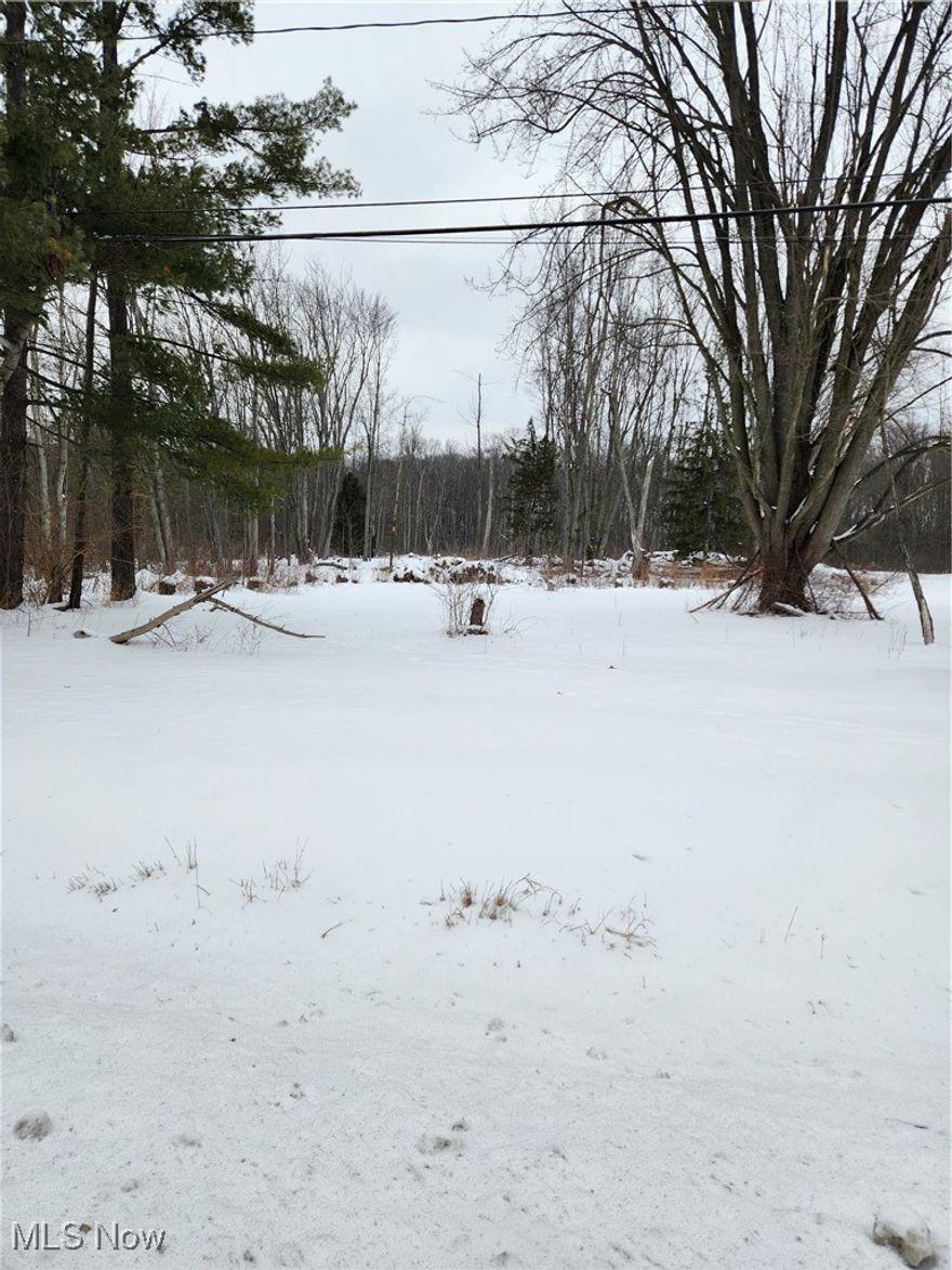 Located in desirable Columbia Station 2.2 Acres of partially cleared residentially zoned land ready for your project! Conveniently positioned on Royalton rd close to Columbia Park, Schools, Restaurants and Stores. Lot size is 100'x 967'!!!  Per seller, water, electric and gas at street and may qualify for a tie in credit.  Some groundwork study complete. Sister lot (Parcel 1200056000045) is also available and could be combined for a total of 200 foot of frontage and over 4.4 acres! No RITA tax!!
Schedule your showing today