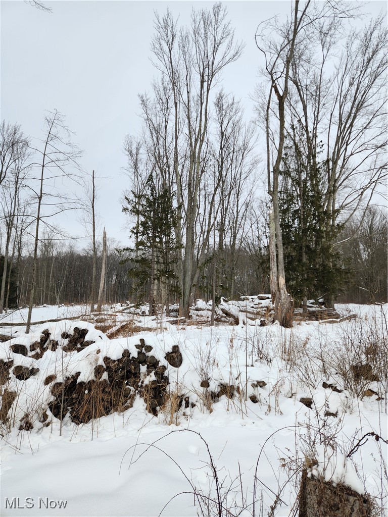 Township/Columbia - Land