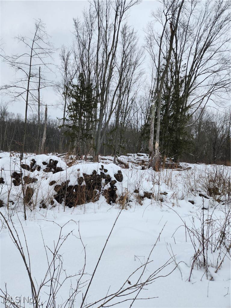 Township/Columbia - Land