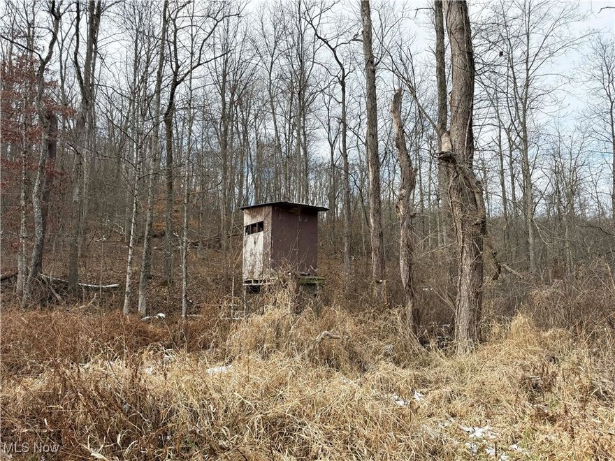 Here is a private 7.79-acre property tucked away in a peaceful country setting. This tract offers an ideal escape from the hustle and bustle, perfect for hunting during the fall or enjoying summer weekends camping, relaxing, and spending time outdoors. Whether you’re looking for a seasonal getaway, a hunting retreat, or a quiet place to unwind, this property provides a great opportunity to enjoy the beauty of nature and make lasting memories. Seller does not own the mineral rights! Check it out today!