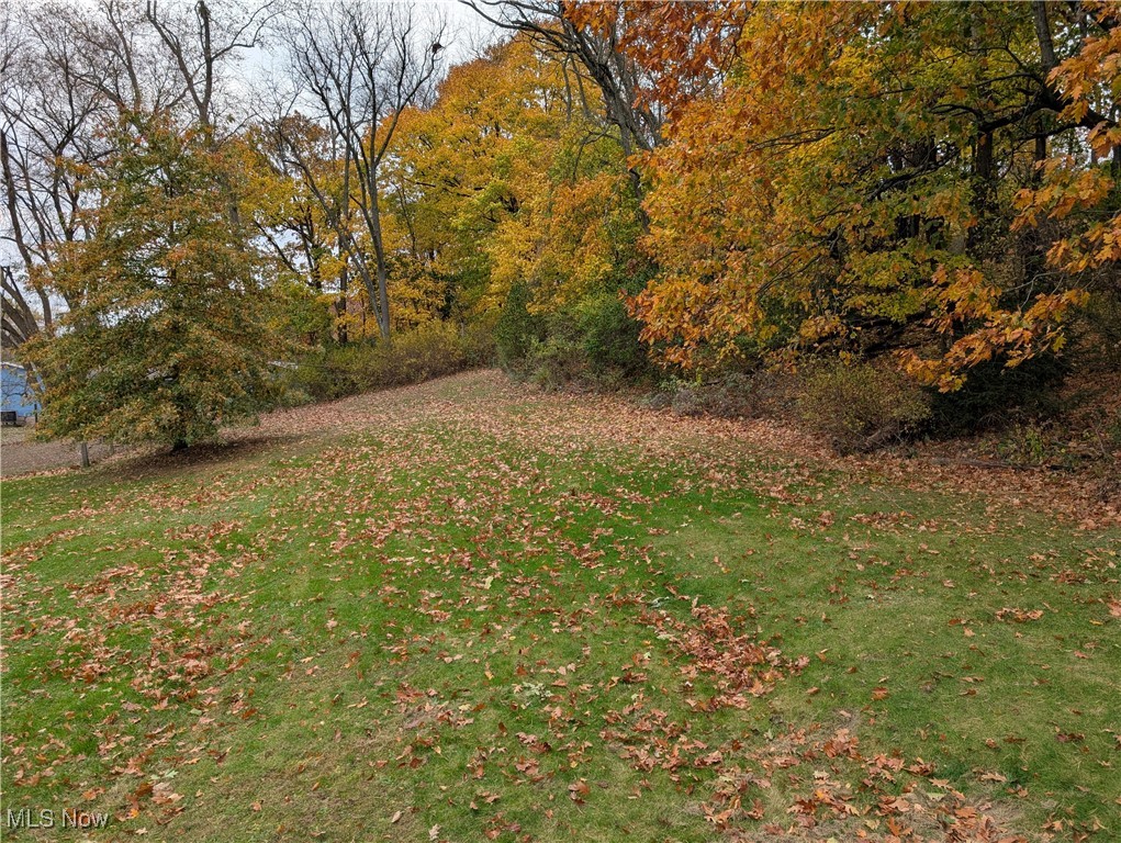 16896 Andrews Avenue, East Liverpool, Ohio image 7