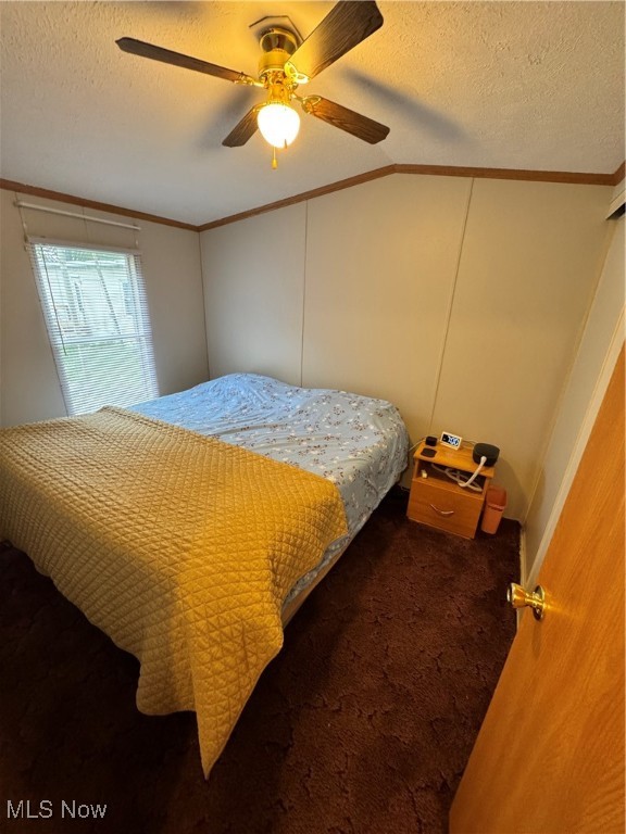 9151 Mentor Avenue #B17, Mentor, Ohio image 18