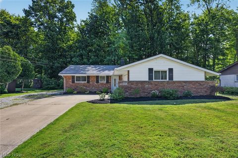 Homes For Sale - 6347 Meldon Drive<br/> Mentor, OH 44060