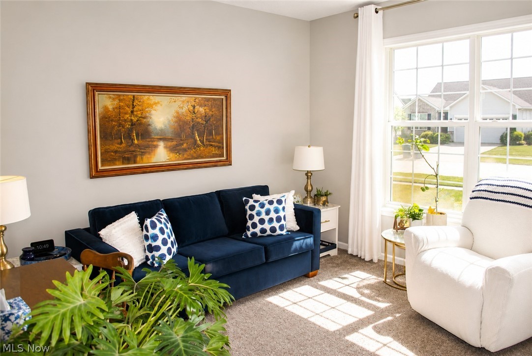 Lifestyles of Meadow Lakes Sub - Residential