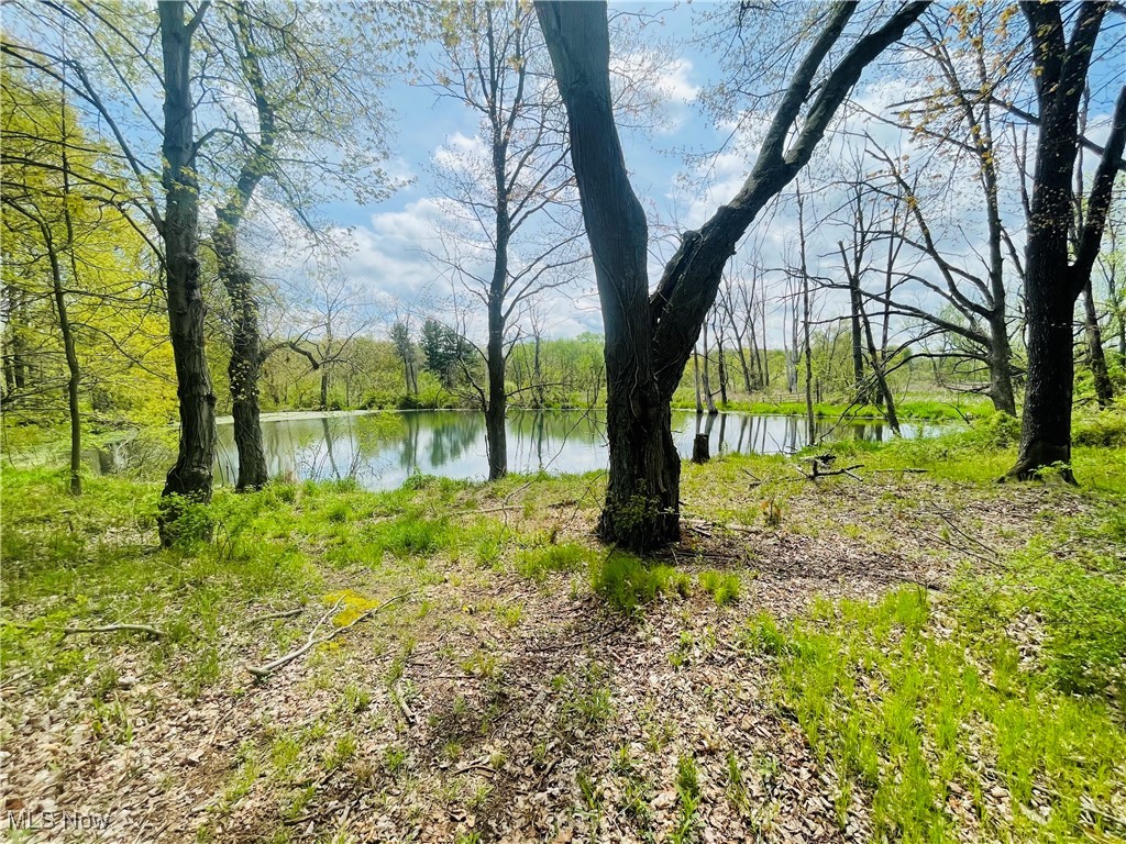 7395 S Cleveland Massillon Road, Clinton, Ohio image 13