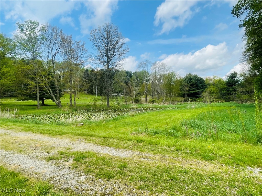7395 S Cleveland Massillon Road, Clinton, Ohio image 8